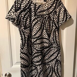 Ann Taylor Factory Black and White Raglan Midi Dress